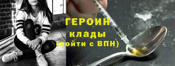 гашик Алексин