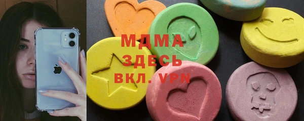 гашик Алексин