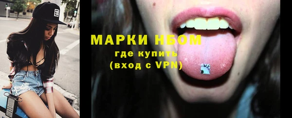 гашик Алексин