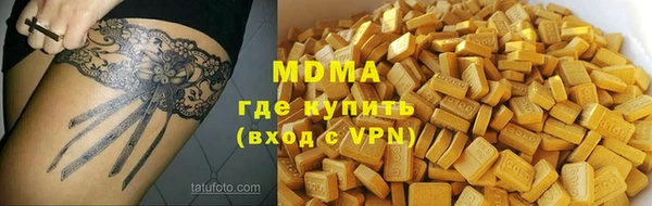 гашик Алексин