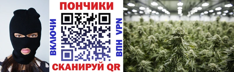 Шишки марихуана SATIVA & INDICA мега маркетплейс Сим